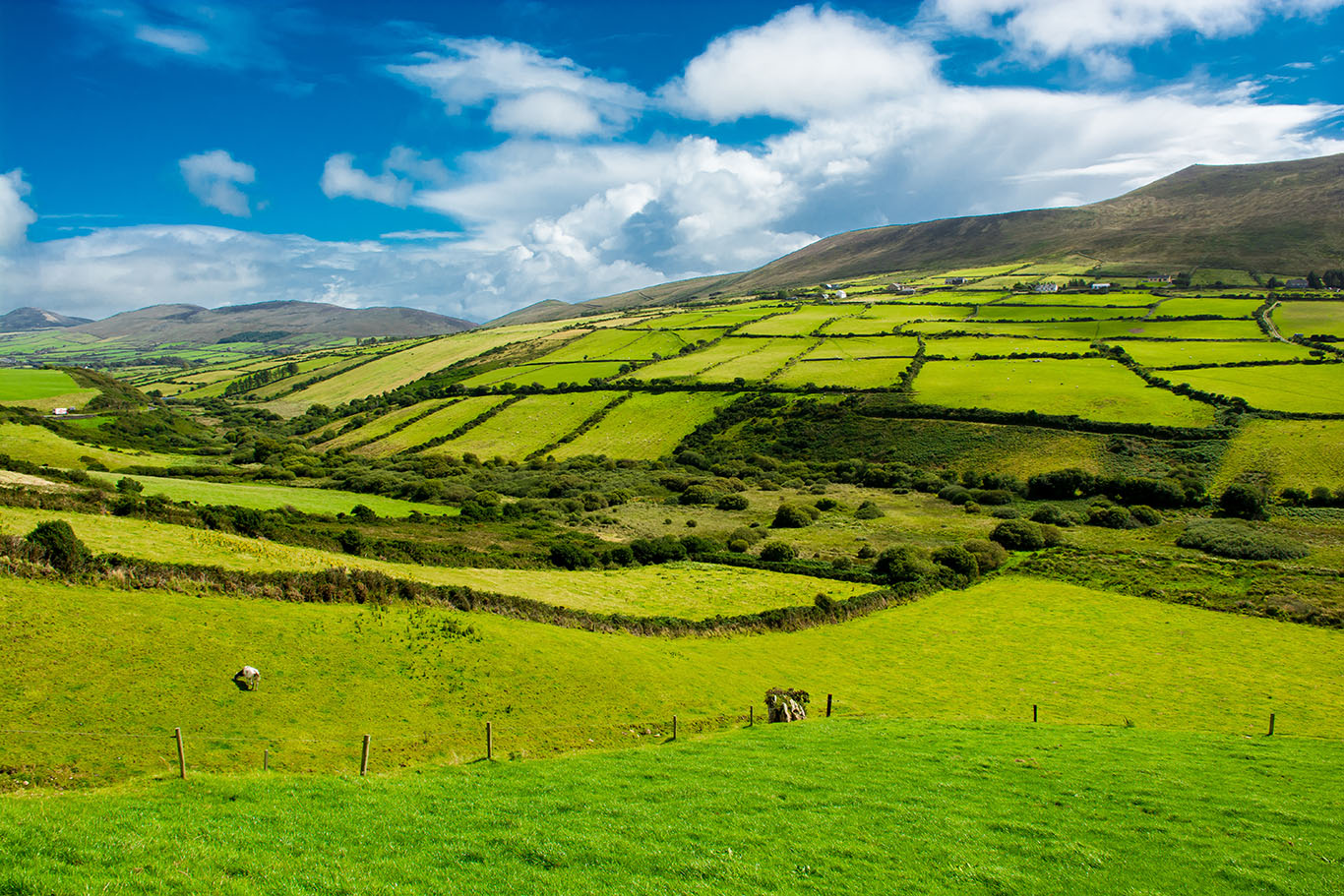 Billigflüge nach Irland