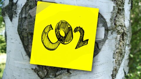 CO2 Kompensation