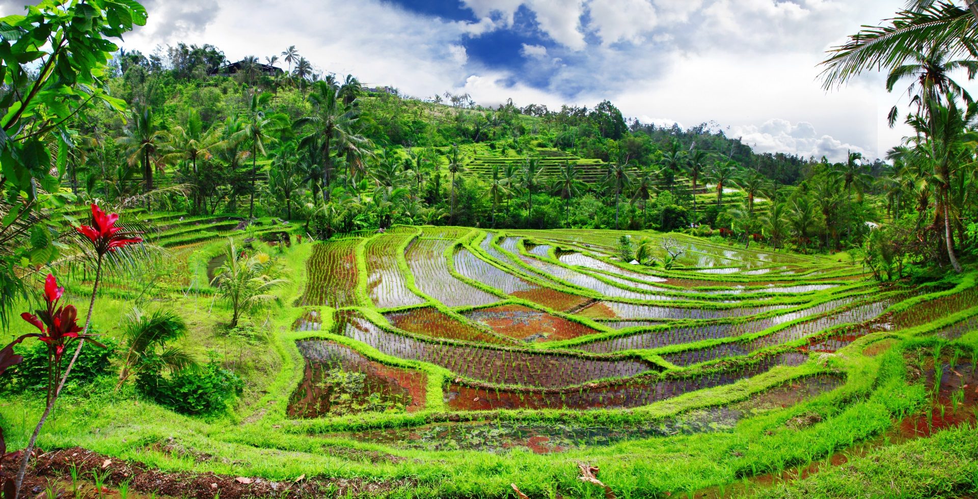 Billigflüge nach Indonesien