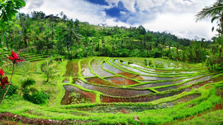 Billigflüge nach Indonesien